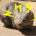 Kevin – New York, United States