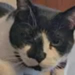 Tiffany North Dakota